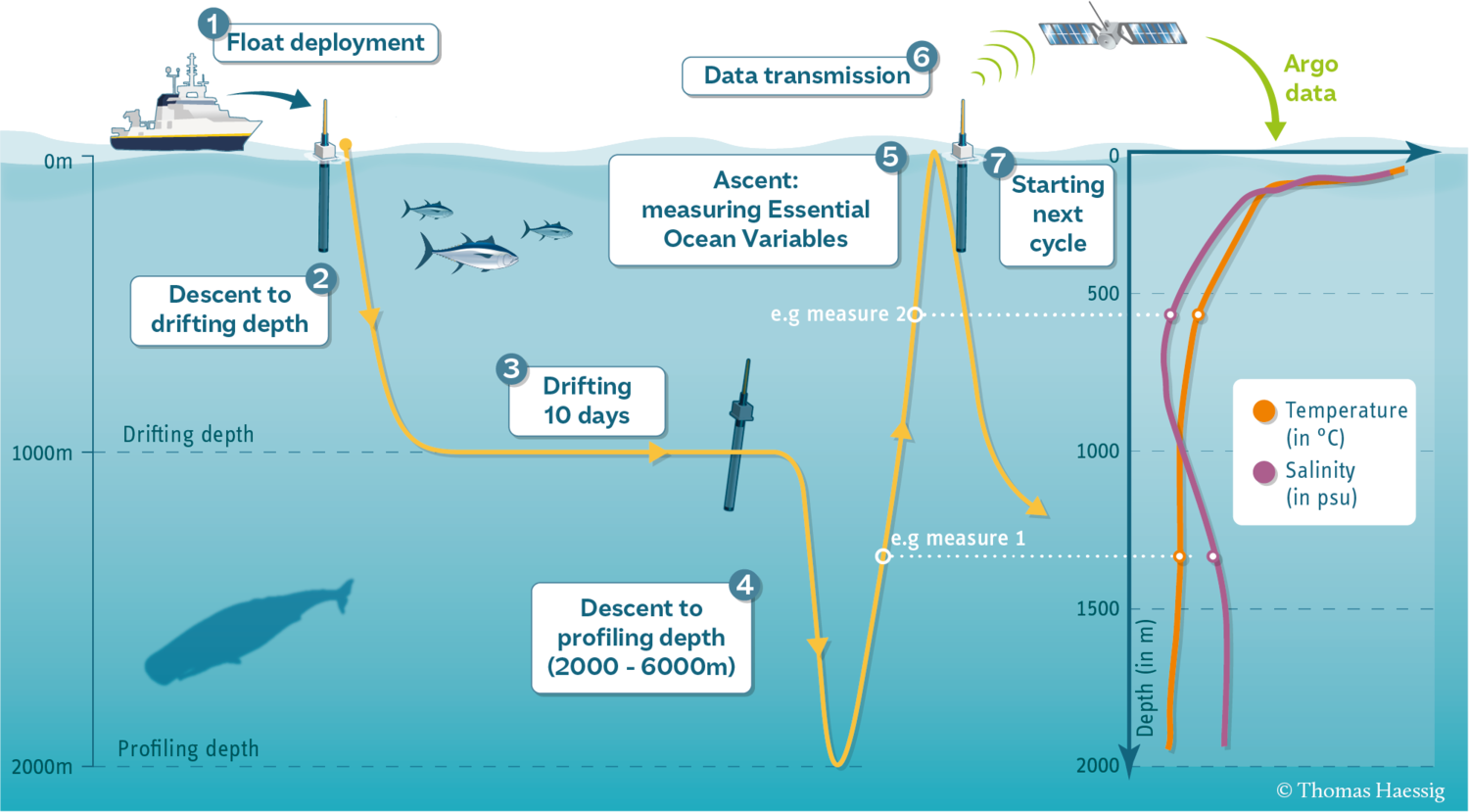 Argo floats